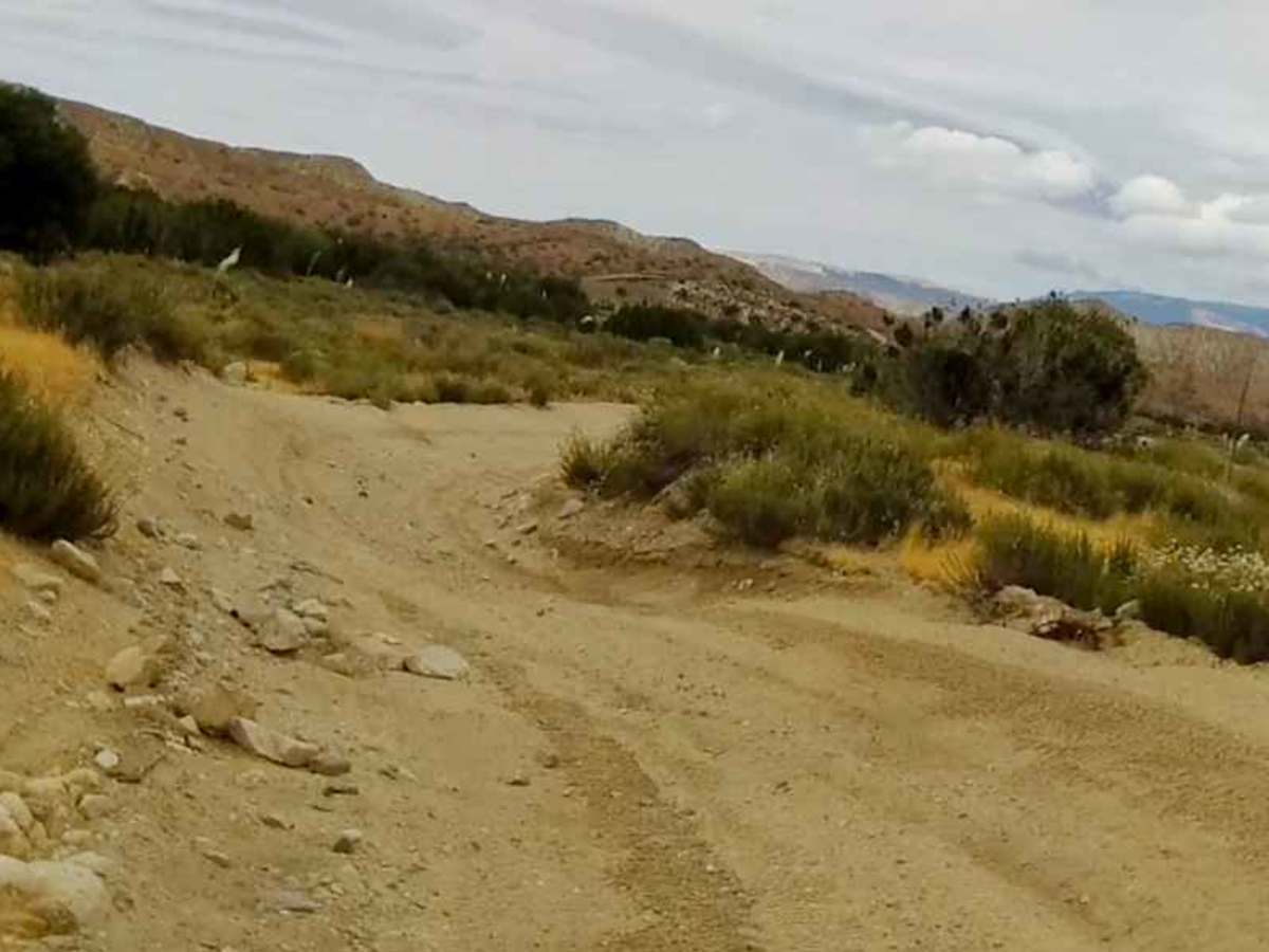 Roadrunner Trail photo 6