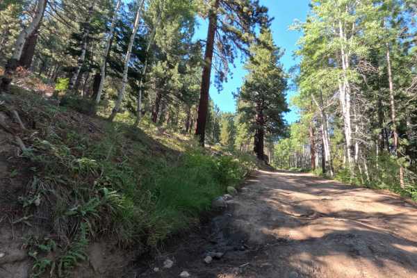 Horse Meadows Rd - FS 31051