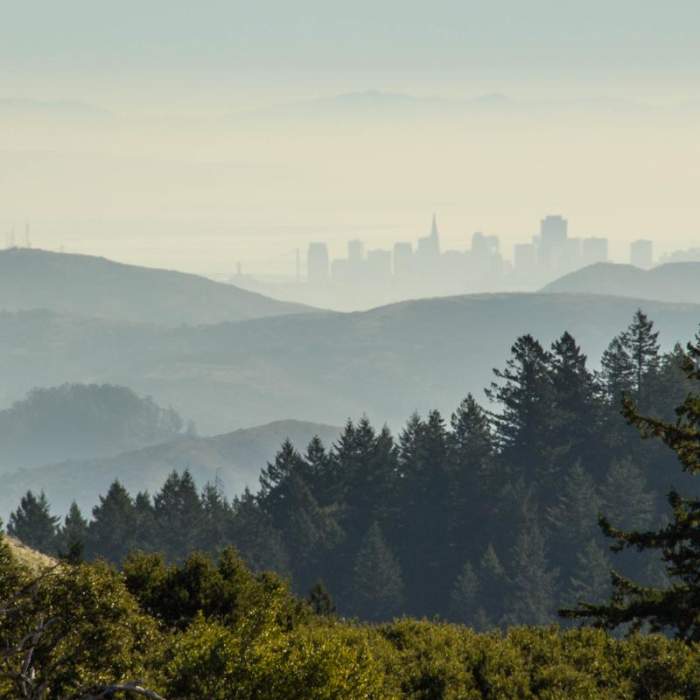 Near Coastal Trail, Pantoll to West Ridgecrest Boulevard