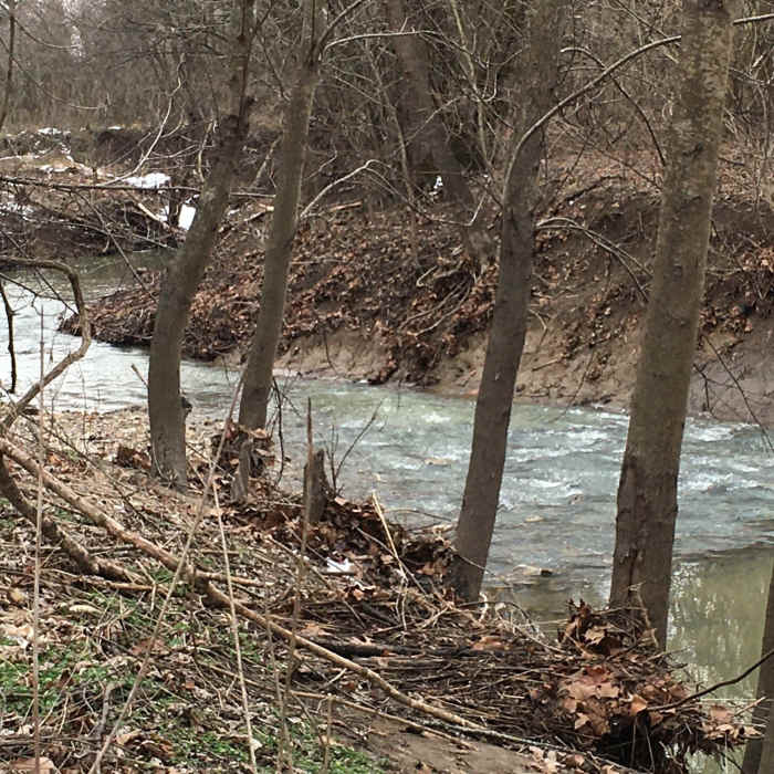 Near Hart Creek Trail