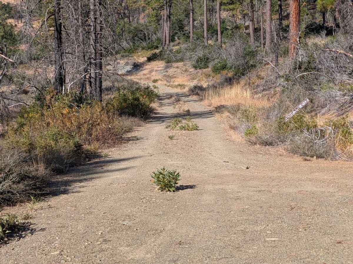 29N34 School House Road trail photo