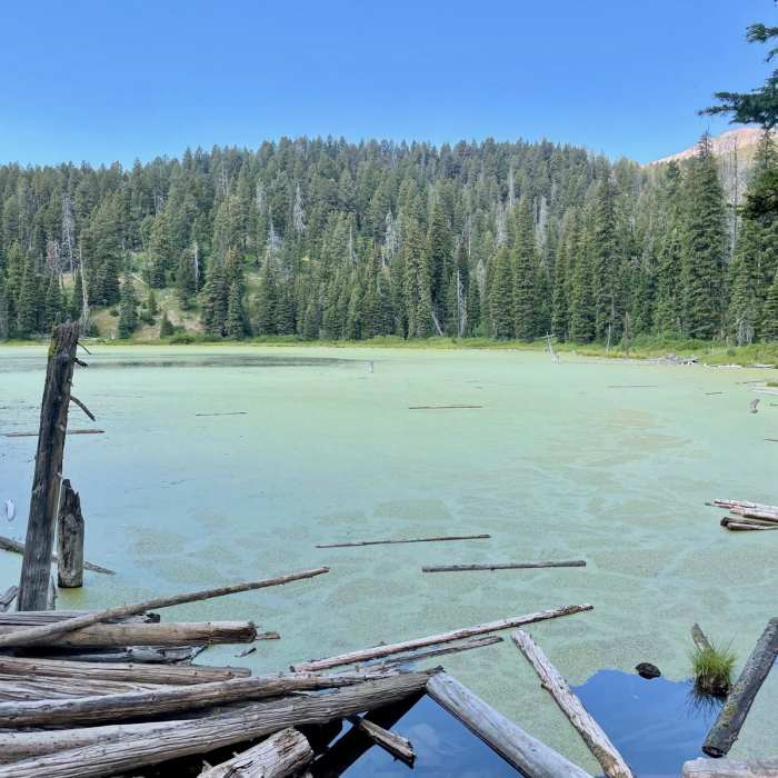 Near Continental Divide Trail: Montana-Idaho Section 4