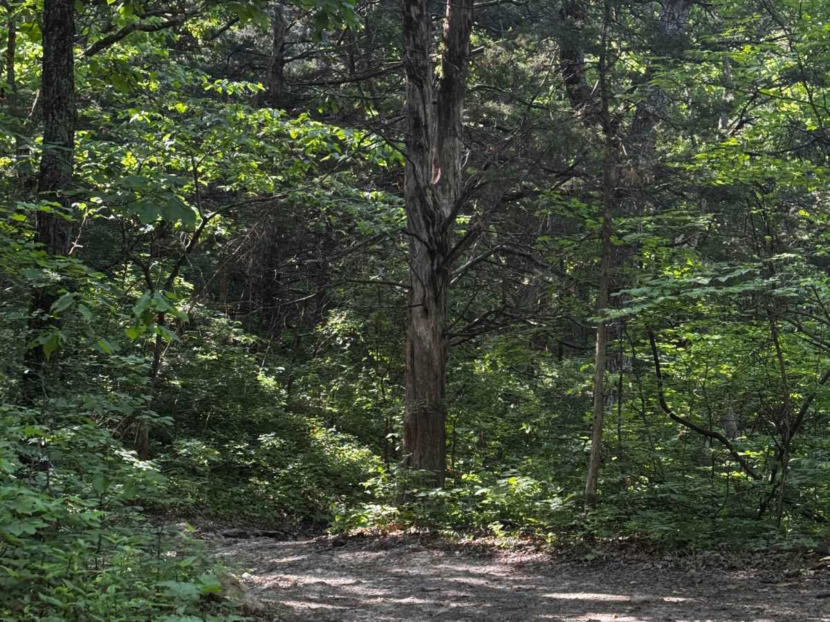 Inner Track 7 photo 2