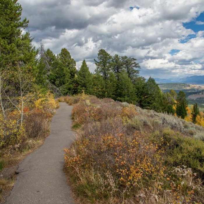 Near Signal Mountain