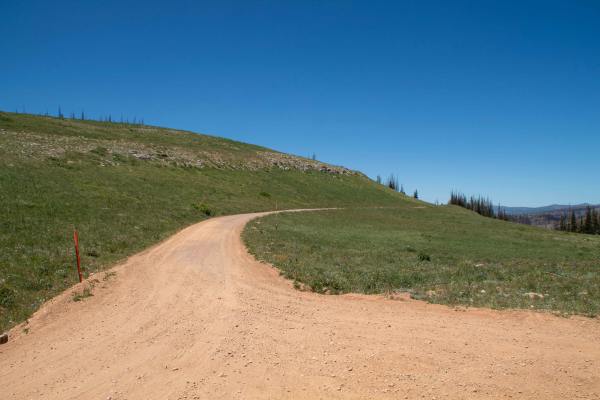 Cold Springs