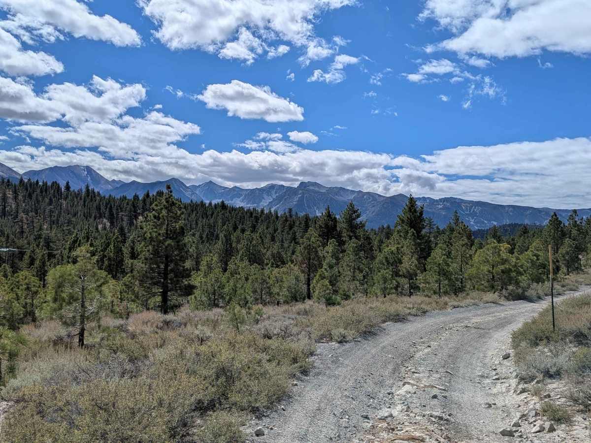 Grey Tuff Loop - FS 3S59 trail photo
