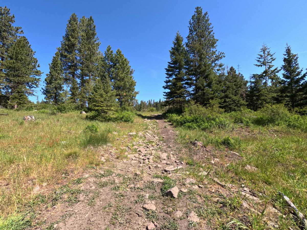 Rock Pit Road - Trail 215 photo 2