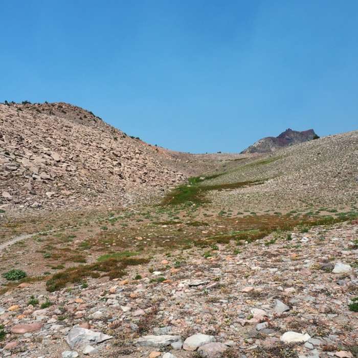 Climbing to the divide above the Old Ski Bowl. Near South Gate Meadows Trail