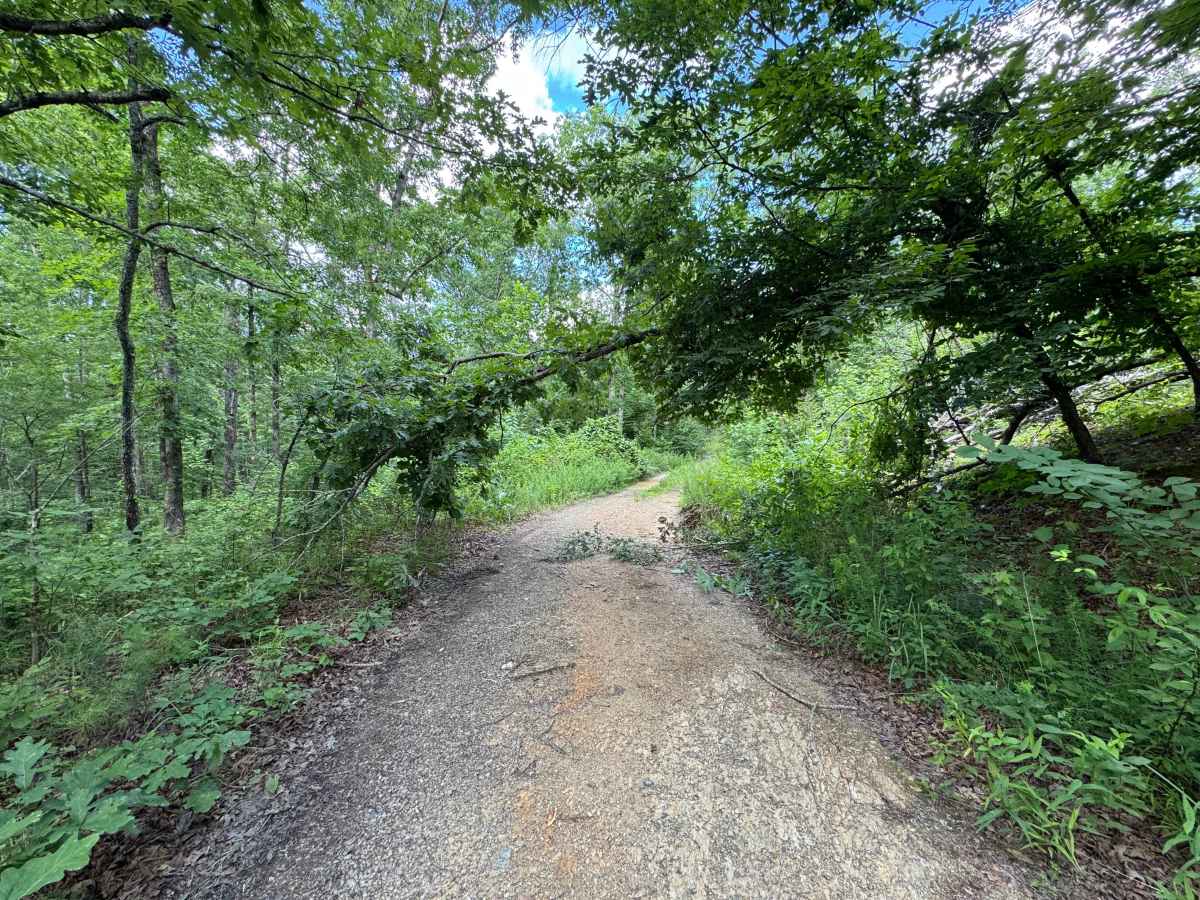 Bear Den Mountain photo 5