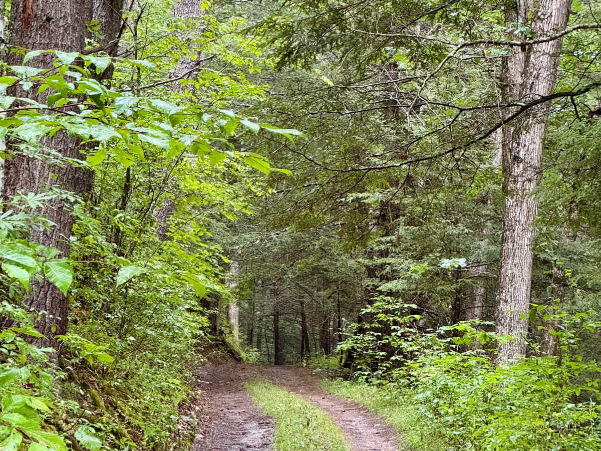Beaver Creek Road - CR 21 photo 2