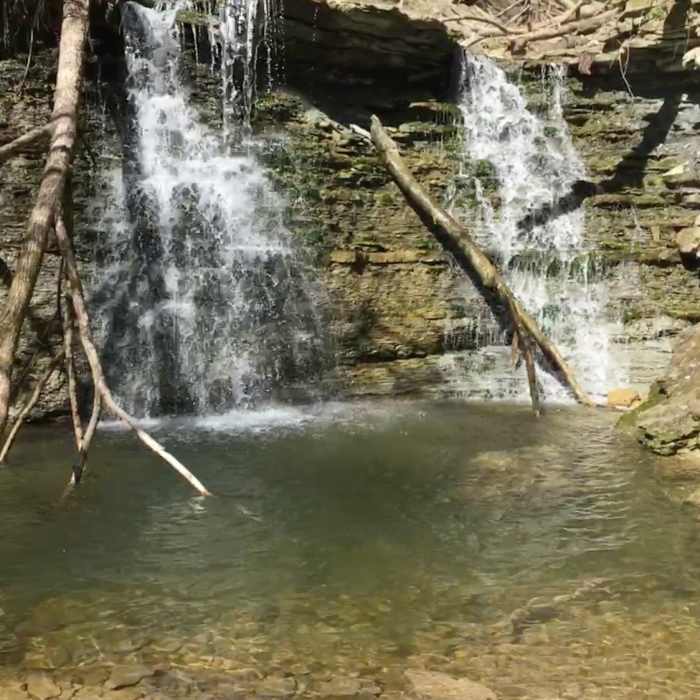 Near Trail 4