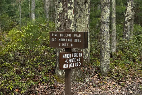 Pine Hollow Road