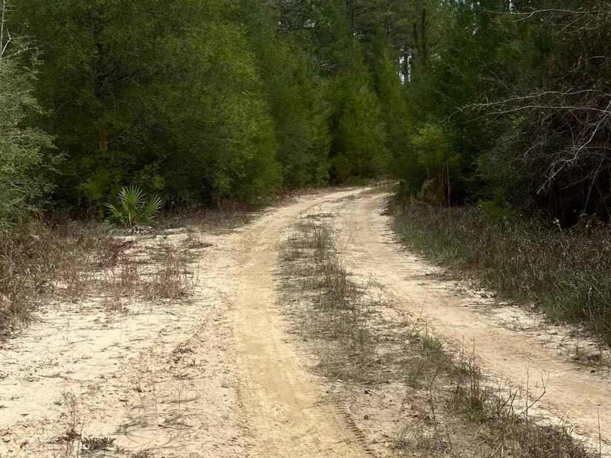 Lower River Road photo 4