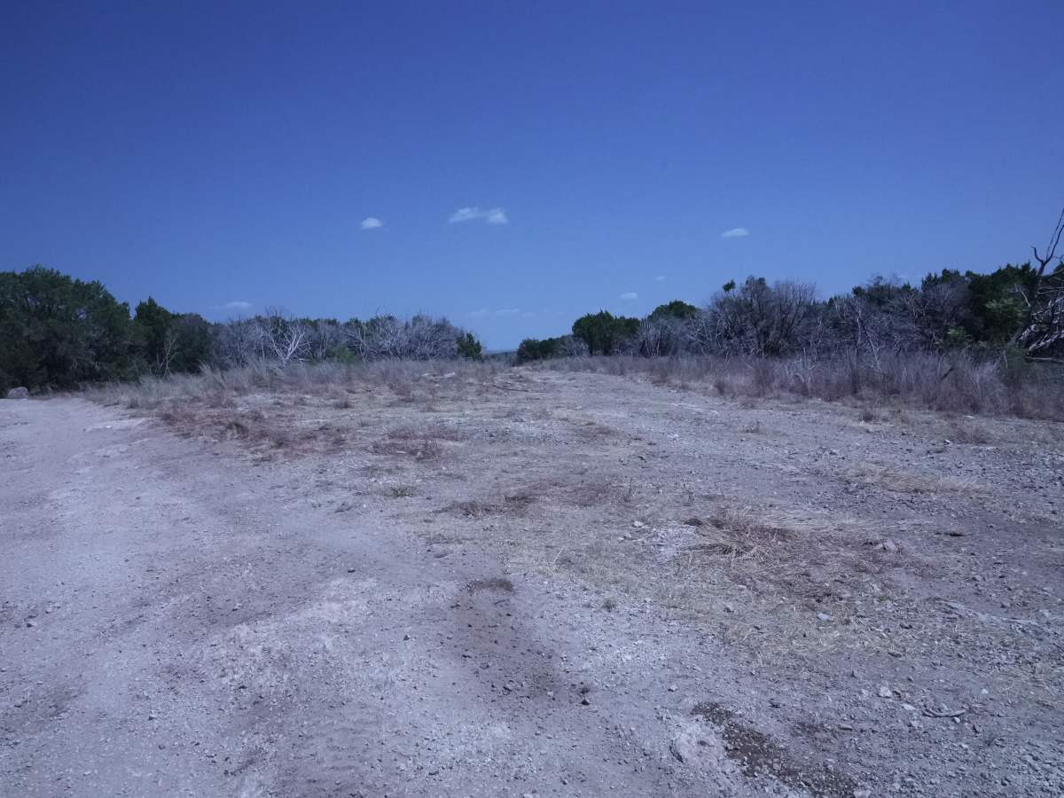 Green 5 photo 6