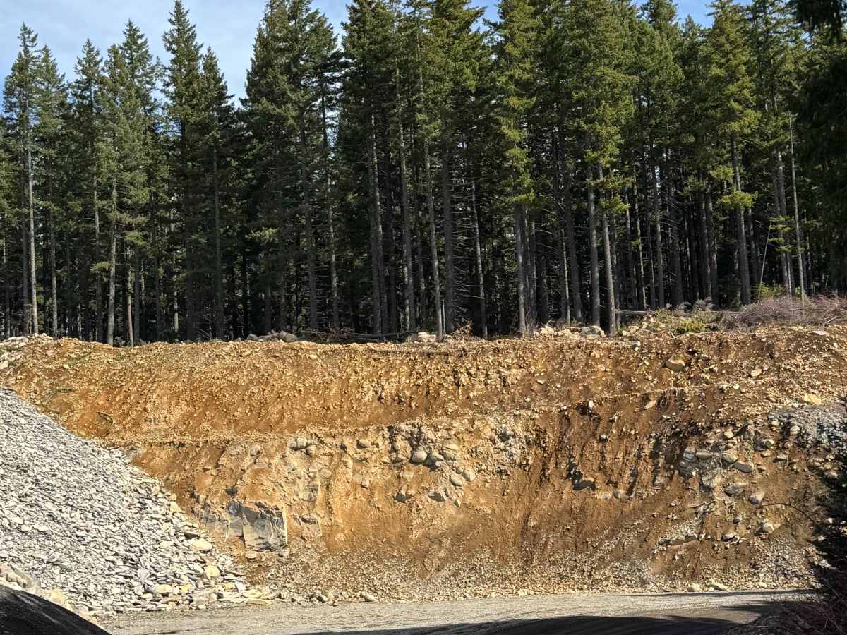 Larch Mountain Road photo 5