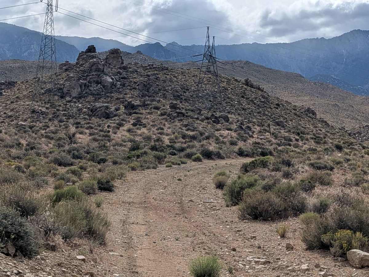 BLM SE741 photo 4