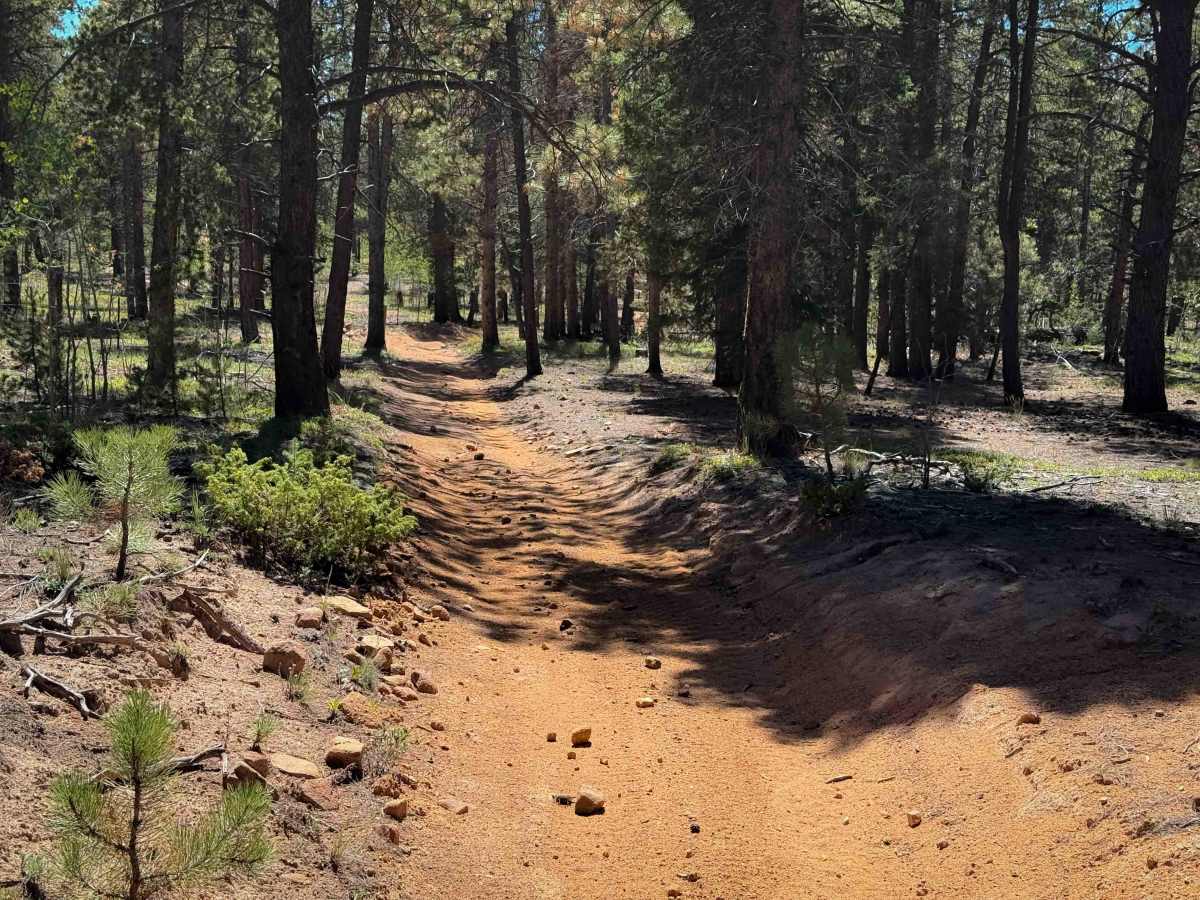 Beaver Creek Trail 732  photo 5