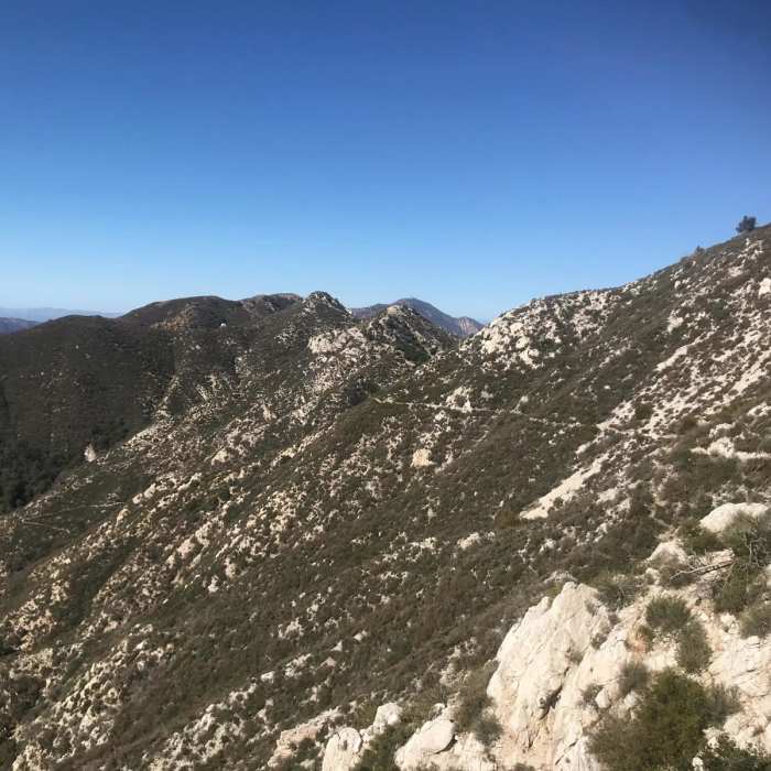 Near Big Angeles Loop Near Big Angeles Loop