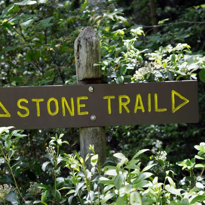 Near Stone Trail and Boundary Trail Loop Near Stone Trail and Boundary Trail Loop