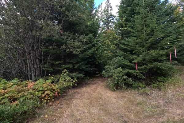 Bear Paw Ridge North - FS 5015020