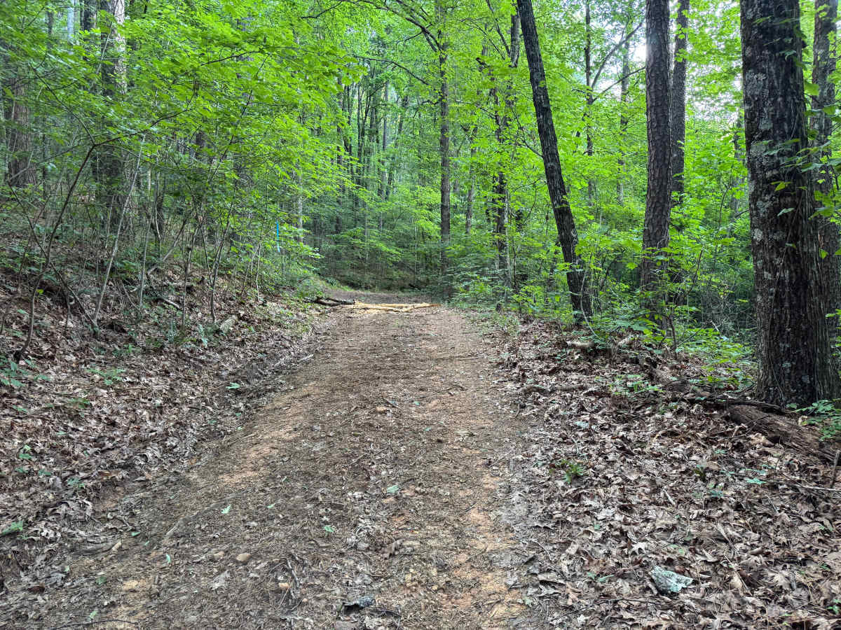 Baxter trail photo