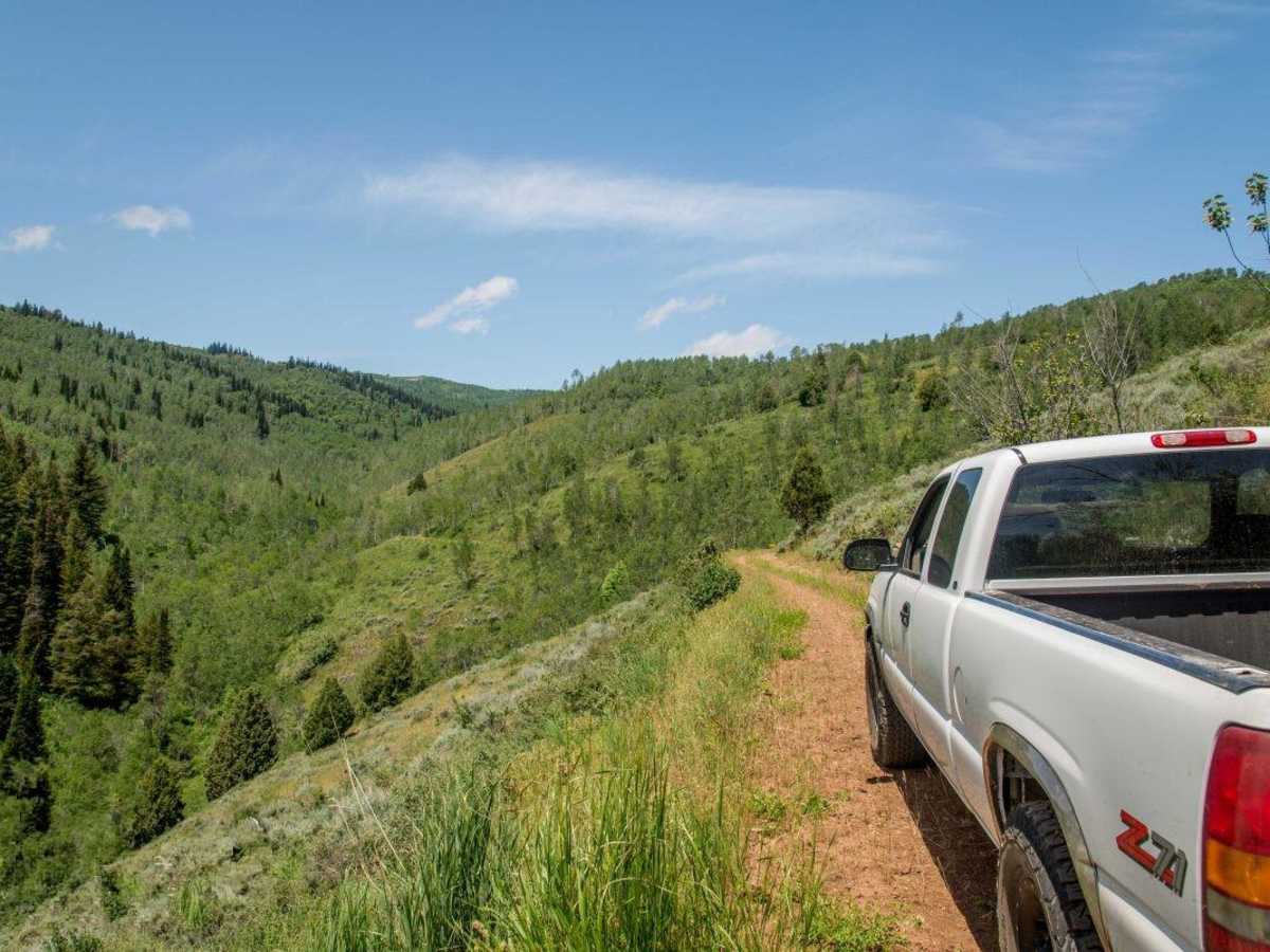 Twin Creeks Road to Bubble Spring trail photo