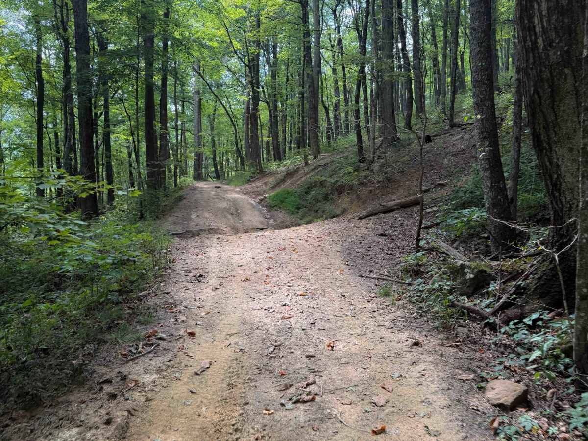 Gibson Knob Trail 15   photo 6
