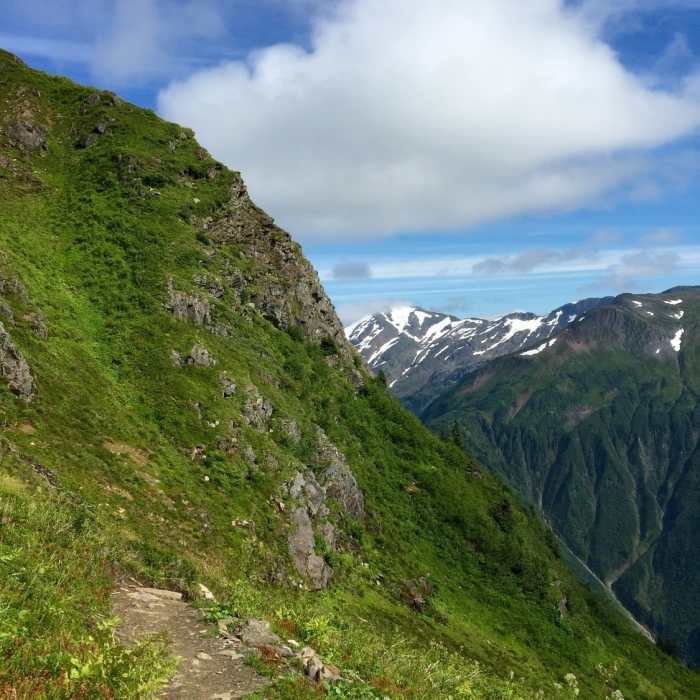 Near Mt. Juneau Trail