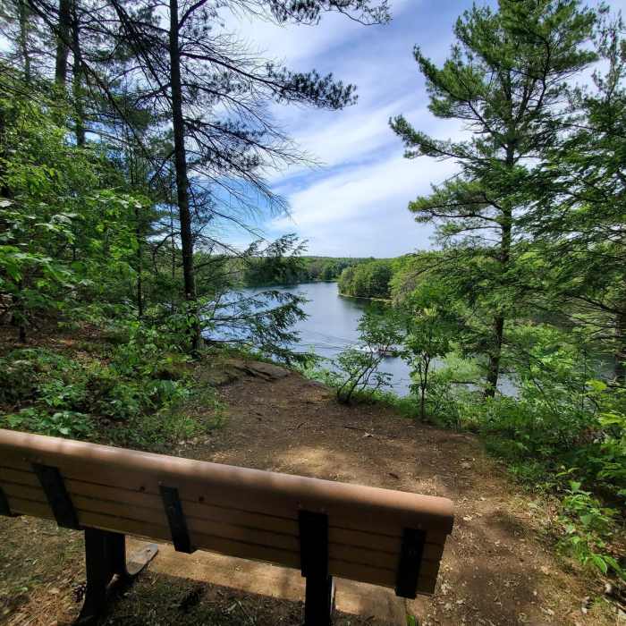 Rest stop Near Rock Dunder Loop