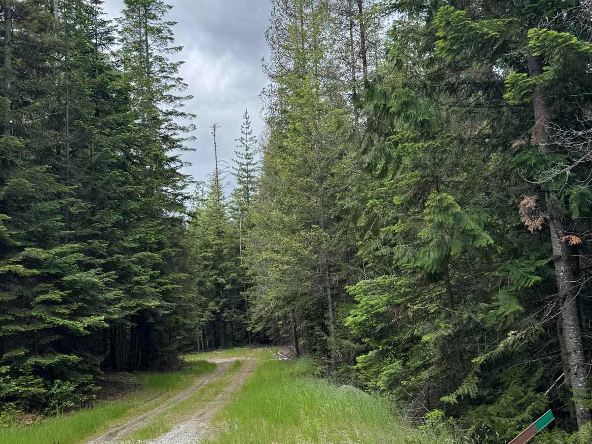 FS 3100-310 trail photo