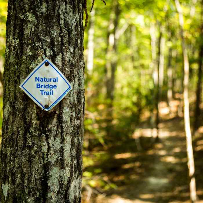 Near Natural Bridge Trail