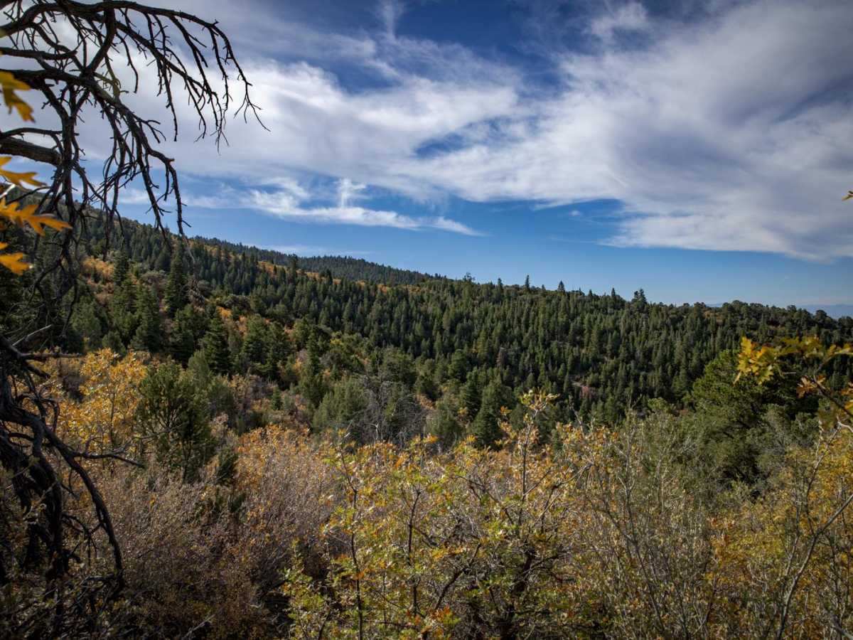 Order Mountain Trail photo 6