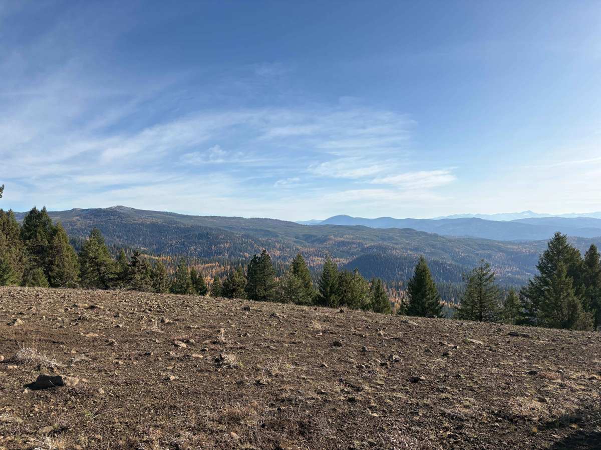Sharps Ridge - FS 3026 photo 5