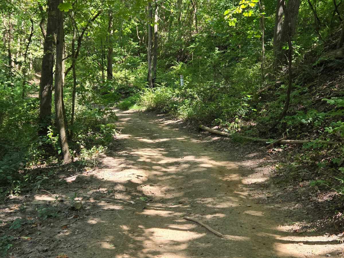Trail 54  photo 2