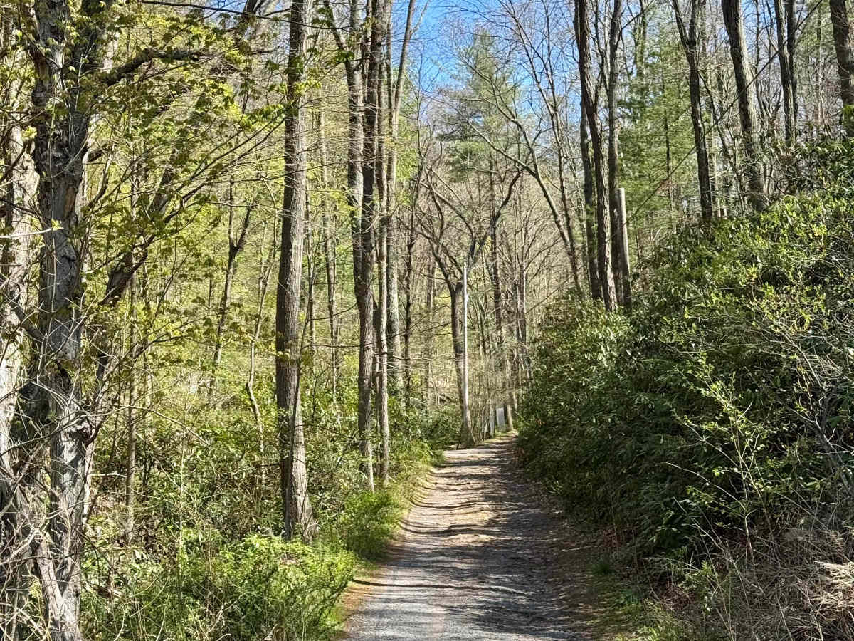 Stillhouse Hollow Rd trail photo