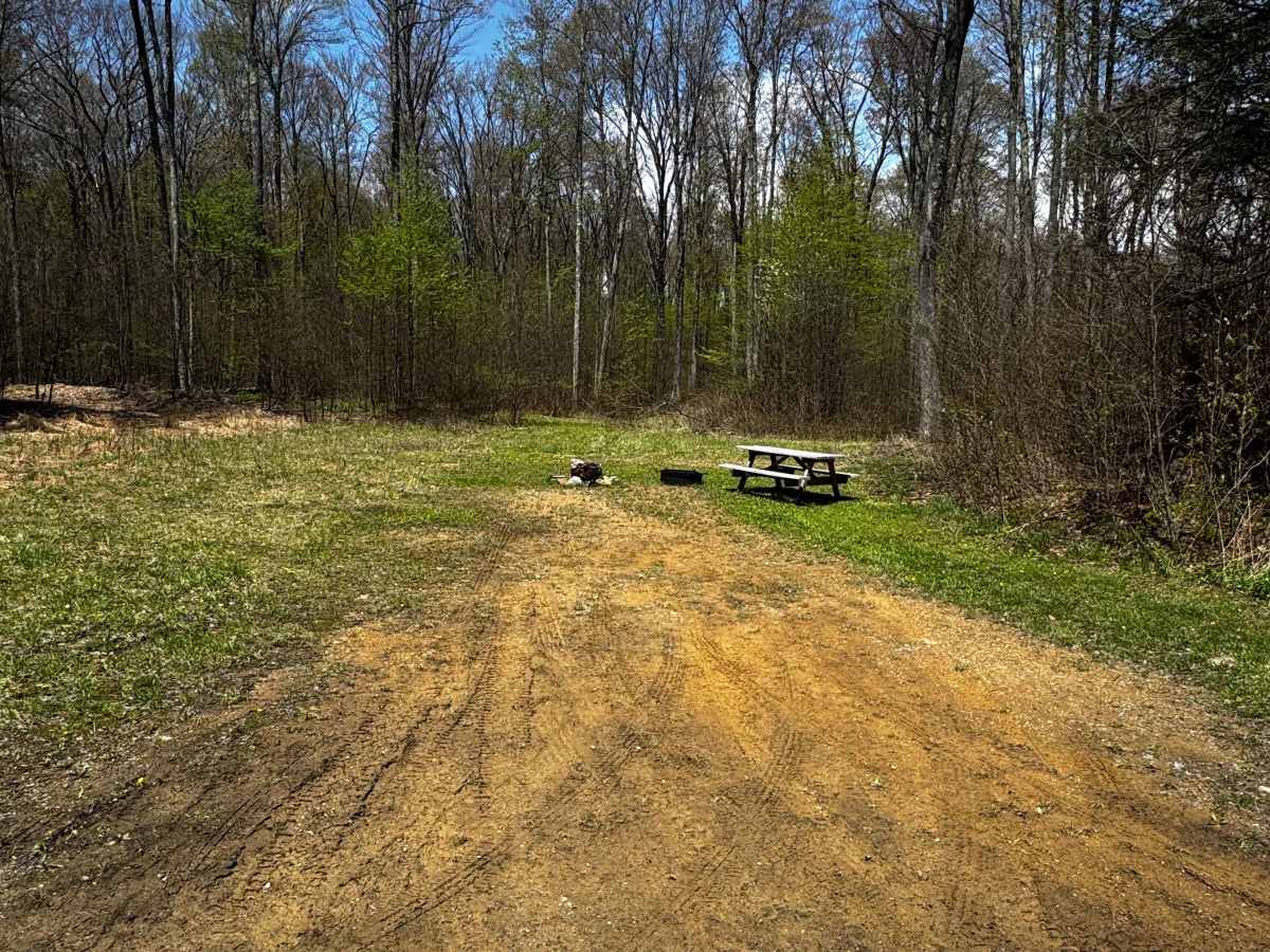 Big Dam Hollow Road photo 6