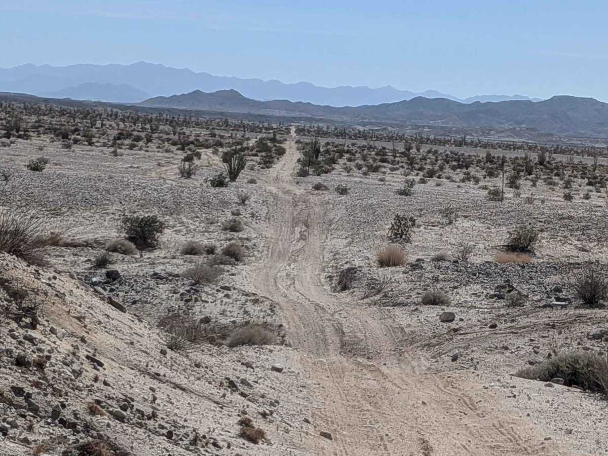 BLM 189 photo 3