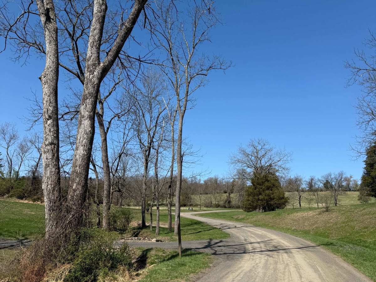 Tettemer Road trail photo
