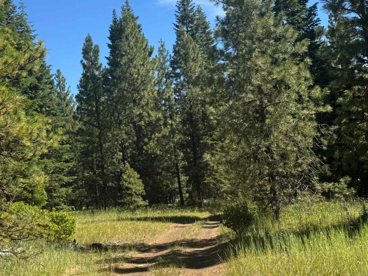 Bluegrass Butte - FS 1030-180 photo 3