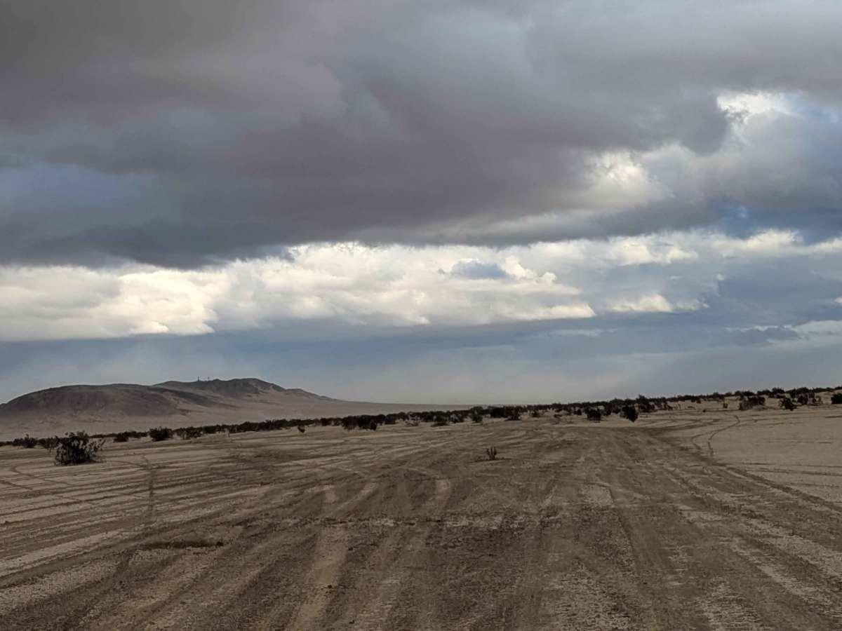BLM 198 photo 6