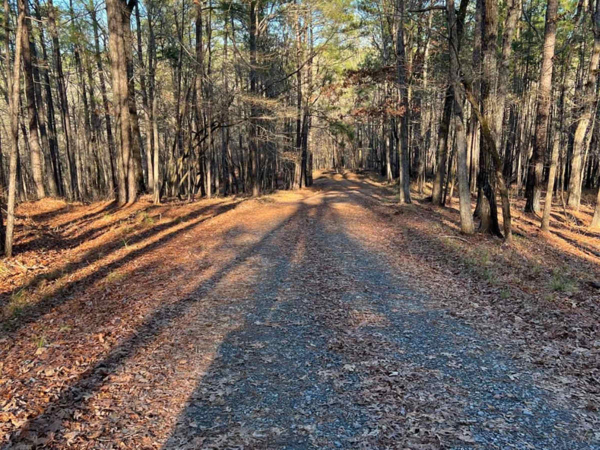 Little Rock Wildlife Drive photo 5
