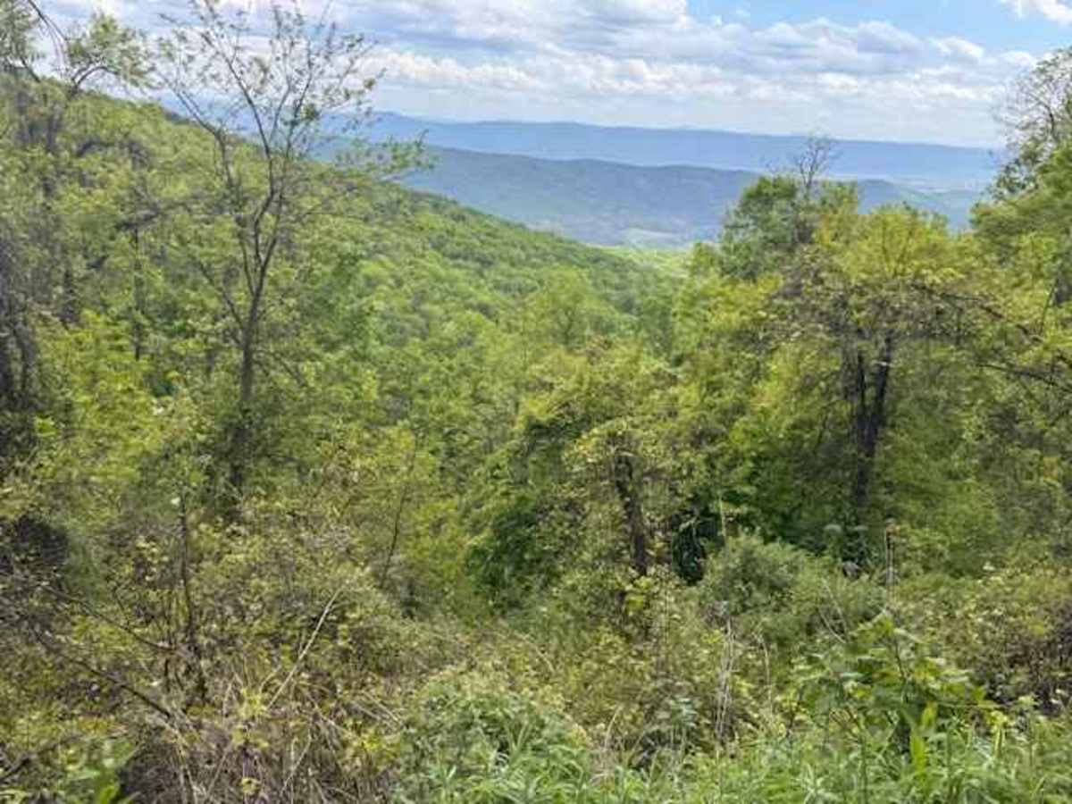 Devils Hole Road photo 5