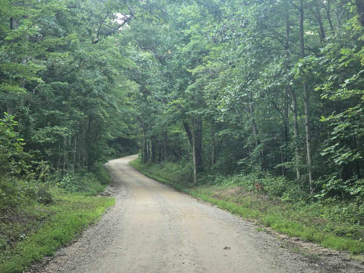 Honey Creek Loop Road photo 4