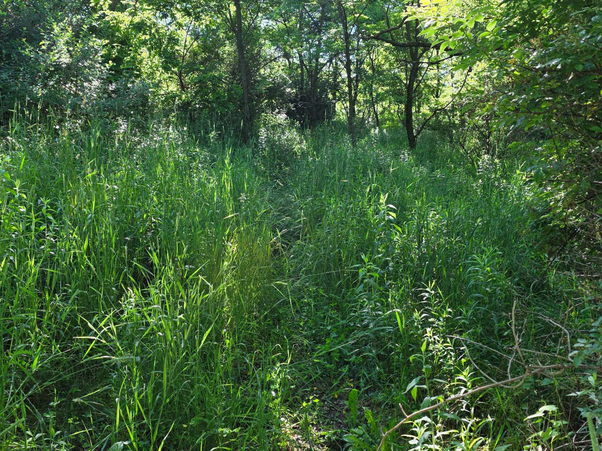 Single Track J2 photo 3