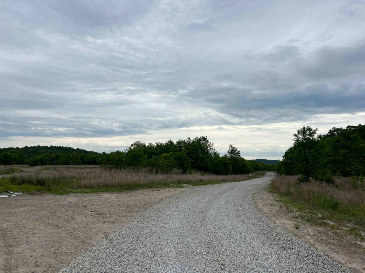 Q50 trail photo