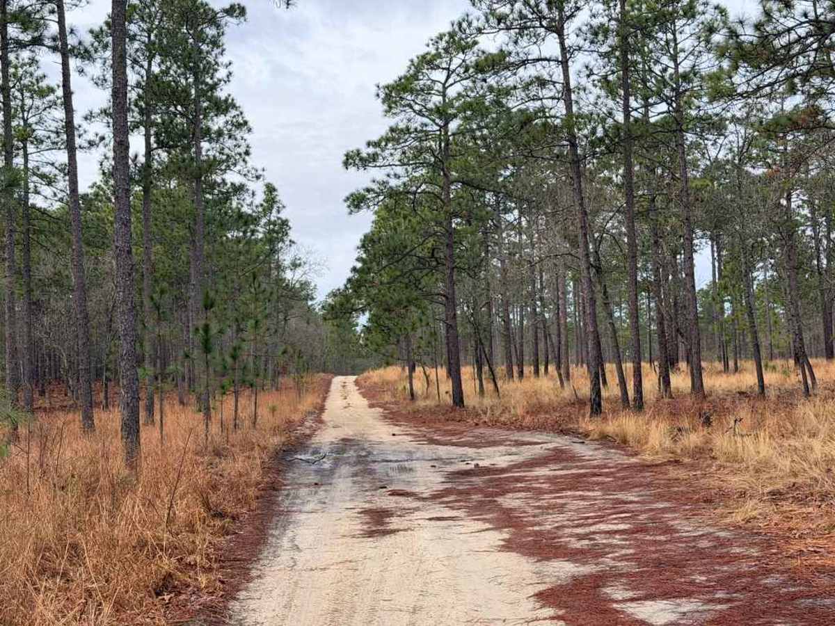 Carpenter Road photo 6
