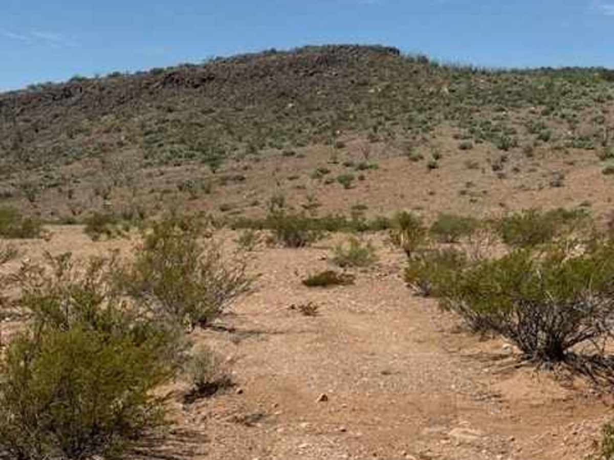 BLM SS1046B photo 2