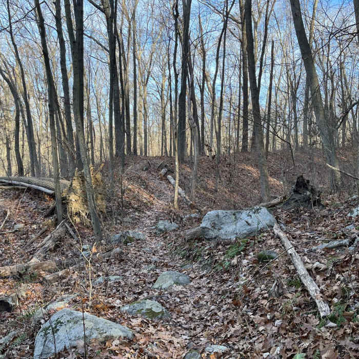 Near Stephens State Park Loop Near Stephens State Park Loop