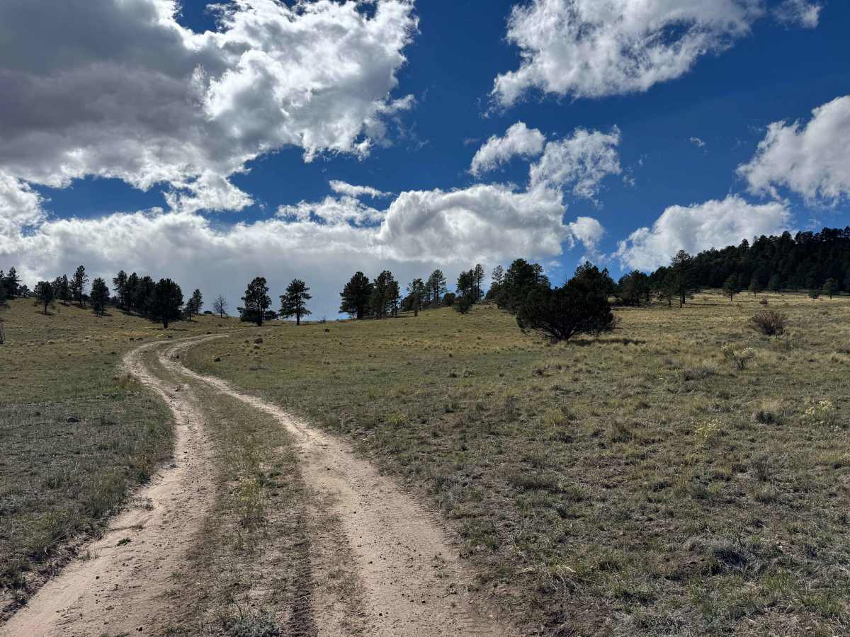 FS 439 trail photo