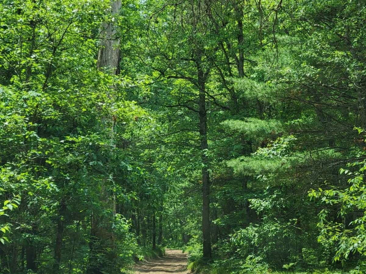 SE Little Manistee Route (344E) photo 2